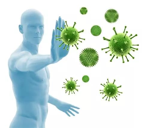 Comment renforcer son système immunitaire au quotidien ?